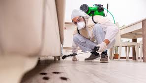 Best Residential Pest Control  in Fellsburg, PA